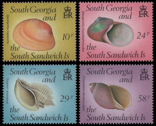 Süd-Georgien 1988 - Mi-Nr. 168-171 ** - MNH - Meeresschnecken / Marine snails