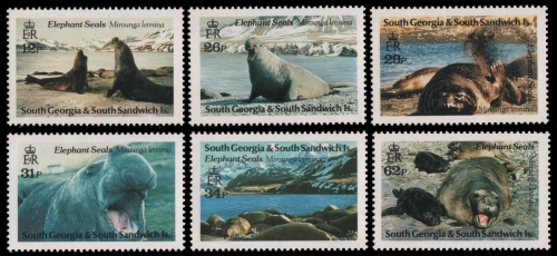 Süd-Georgien 1991 - Mi-Nr. 192-197 ** - MNH - See-Elefant / Sea elephant