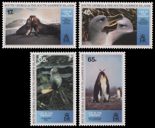 Süd-Georgien 1994 - Mi-Nr. 235-238 ** - MNH - Wildtiere / Wild animals