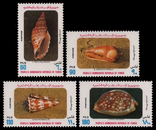 Südjemen 1977 - Mi-Nr. 200-203 ** - MNH - Meeresschnecken / Marine snails