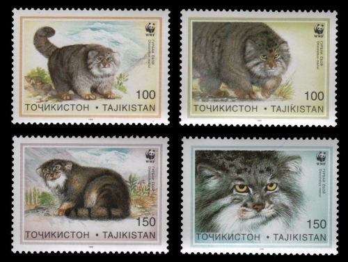 Tadschikistan 1996 - Mi-Nr. 94-97 ** - MNH - Manul-Katze / Manul-cat