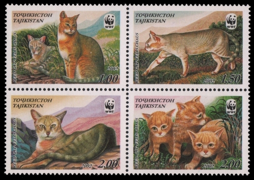 Tadschikistan 2002 - Mi-Nr. 208-211 ** - MNH - Rohrkatze / Jungle cat