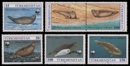 Turkmenistan 1993 - Mi-Nr. 30-35 ** - MNH - Robben / Seals