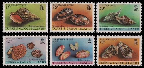 Turks- & Caicos 1980 - Mi-Nr. 490-495 ** - MNH - Meeresschnecken