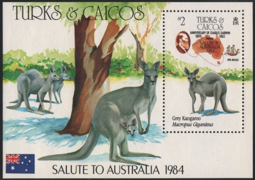 Turks- & Caicos 1984 - Mi-Nr. Block 52 ** - MNH - Känguru / Kangaroo