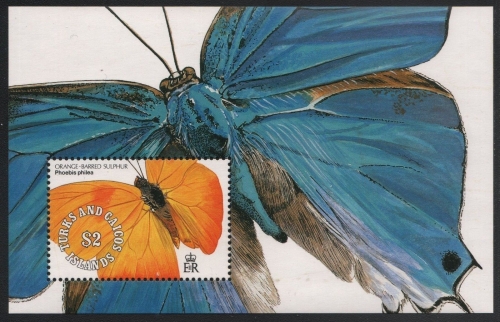 Turks- & Caicos 1991 - Mi-Nr. Block 99 ** - MNH - Schmetterling / Butterfly
