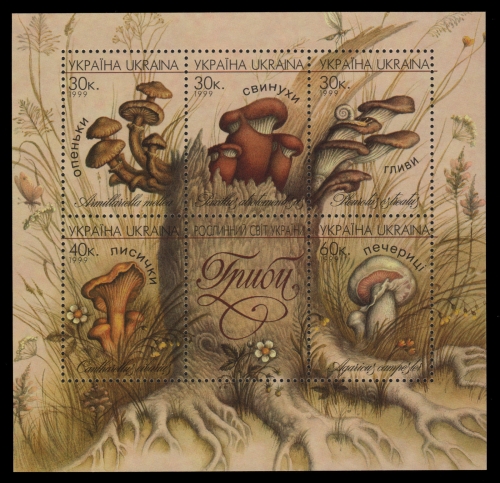 Ukraine 1999 - Mi-Nr. Block 18 ** - MNH - Pilze