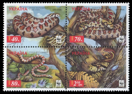 Ukraine 2002 - Mi-Nr. 502-505 A ** - MNH - Weltweiter Naturschutz: Leopardnatter