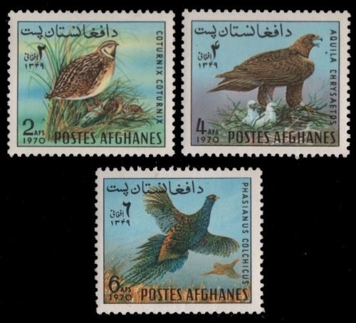 Afghanistan 1970 - Mi-Nr. 1082-1084 ** - MNH - Vögel / Birds
