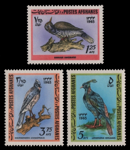 Afghanistan 1965 - Mi-Nr. 939-941 ** - MNH - Vögel / Birds