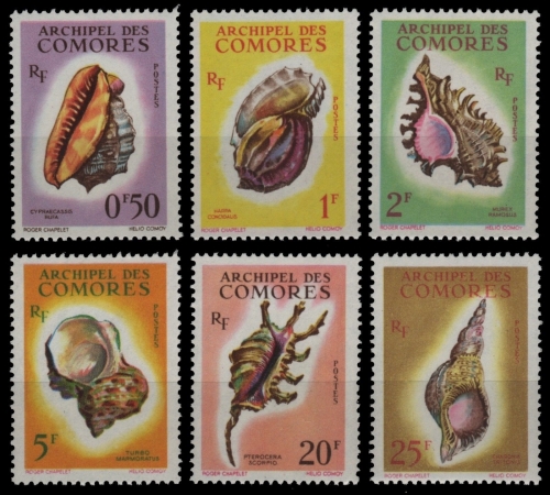 Komoren 1962 - Mi-Nr. 42-47 ** - MNH - Meeresschnecken / Marine snails