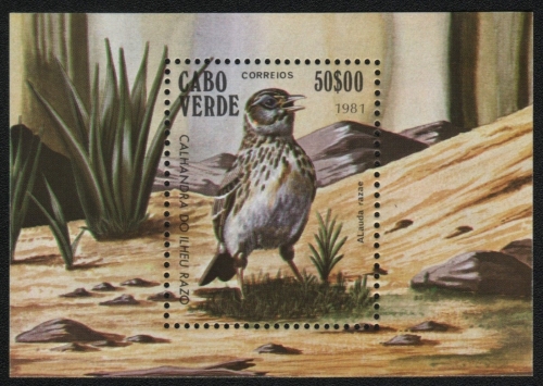 Kap Verde 1981 - Mi-Nr. Block 4 ** - MNH - Vögel / Birds
