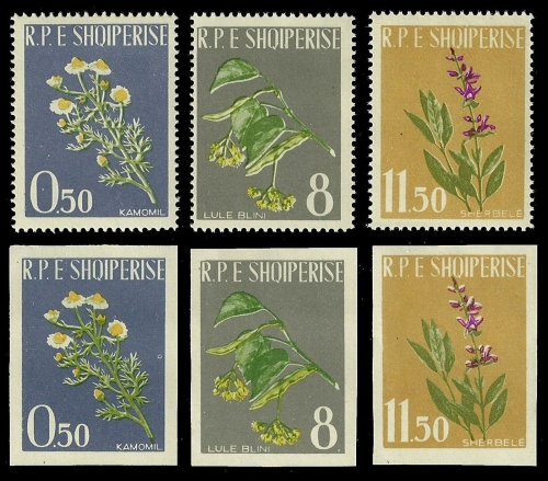 Albanien 1962 - Mi-Nr. 654-656 A & B ** - MNH - Heilpflanzen