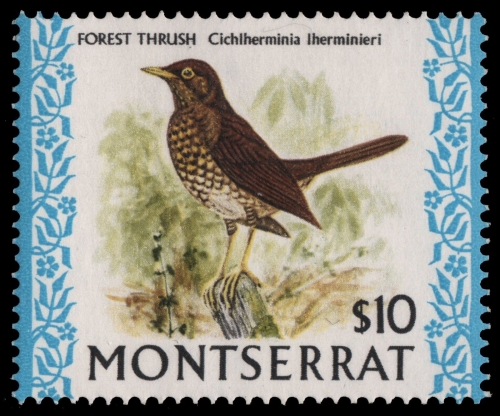 Montserrat 1974 - Mi-Nr. 316 ** - MNH - Vögel / Birds