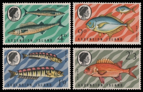 Ascension 1970 - Mi-Nr. 130-133 ** - MNH - Fische / Fish
