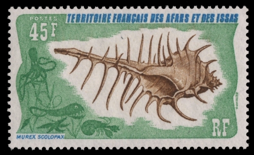Afar und Issa 1975 - Mi-Nr. 140 ** - MNH - Meeresschnecken / Marine snails