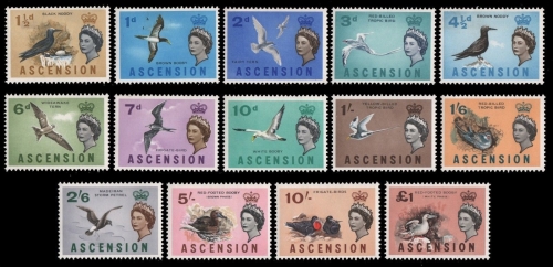 Ascension 1963 - Mi-Nr. 75-88 ** - MNH - Vögel / Birds (I)