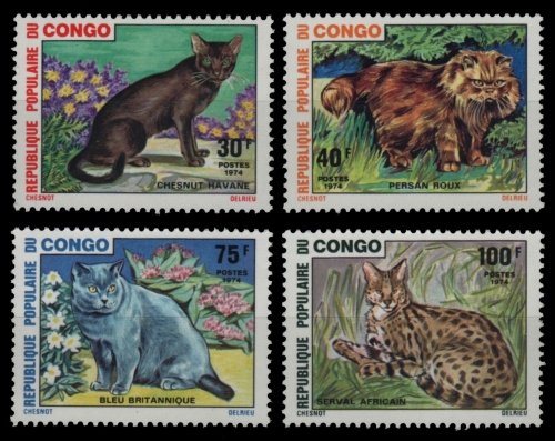 Kongo-Brazzaville 1974 - Mi-Nr. 445-448 ** - MNH - Katzen / Cats