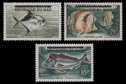 Mali 1960 - Mi-Nr. 18-20 ** - MNH - Fische / Fish