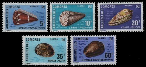 Komoren 1971 - Mi-Nr. 129-133 ** - MNH - Meeresschnecken / Marine snails