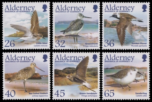 Alderney 2005 - Mi-Nr. 259-264 ** - MNH - Vögel / Birds