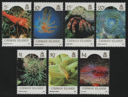 Kaiman-Inseln 1987 - Mi-Nr. 572-583 II ** - MNH - Meerestiere / Marine life