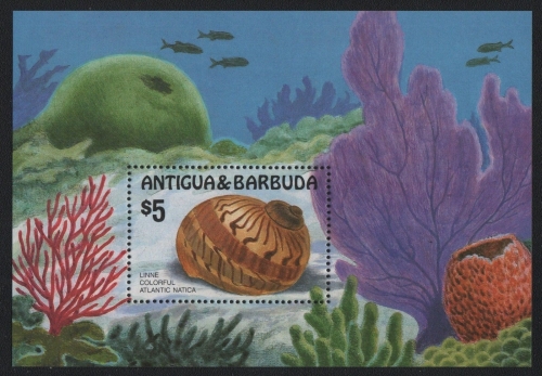 Antigua 1986 - Mi-Nr. Block 112 ** - MNH - Meeresschnecken / Marine snails