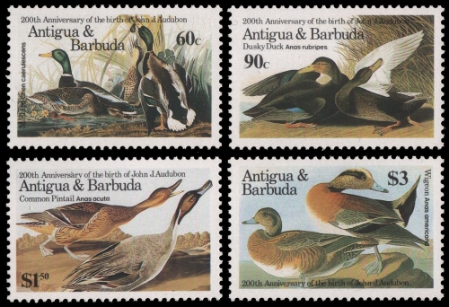 Antigua 1986 - Mi-Nr. 920-923 ** - MNH - Vögel / Birds - Audubon
