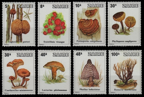 Kongo-Zaire 1979 - Mi-Nr. 597-604 A ** - MNH - Pilze / Mushrooms