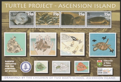 Ascension 2000 - Mi-Nr. Block 40 I ** - MNH - Schildkröten / Turtles