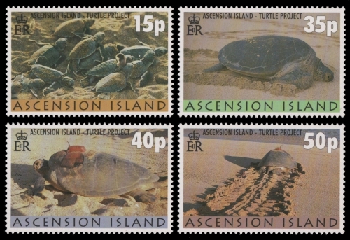 Ascension 2000 - Mi-Nr. 811-814 ** - MNH - Schildkröten / Turtles