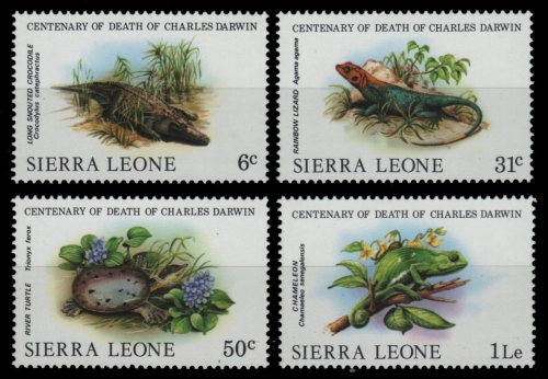 Sierra Leone 1982 - Mi-Nr. 698-701 ** - MNH - Wildtiere / Wild animals - Darwin