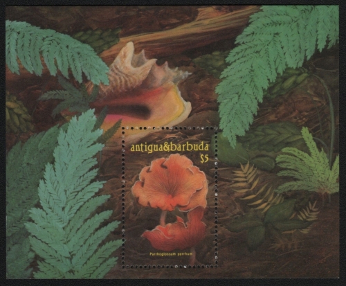 Antigua 1986 - Mi-Nr. Block 116 ** - MNH - Pilze / Mushroom