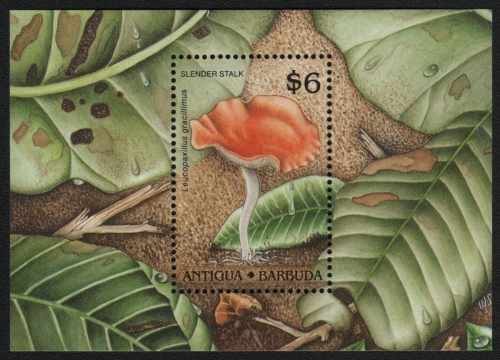 Antigua 1989 - Mi-Nr. Block 162 ** - MNH - Pilze / Mushroom