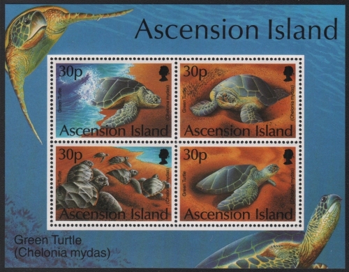 Ascension 1994 - Mi-Nr. Block 26 ** - MNH - Schildkröten / Turtles