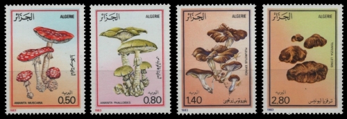 Algerien 1983 - Mi-Nr. 827-830 ** - MNH - Pilze / Mushroom