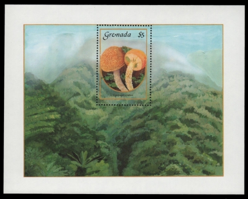 Grenada 1986 - Mi-Nr. Block 162 ** - MNH - Pilze / Mushroom