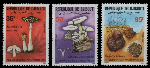 Dschibuti 1987 - Mi-Nr. 488-490 ** - MNH - Pilze / Mushrooms