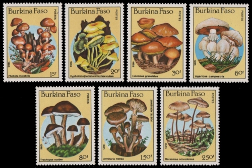 Burkina Faso 1985 - Mi-Nr. 1054-1060 ** - MNH - Pilze / Mushrooms