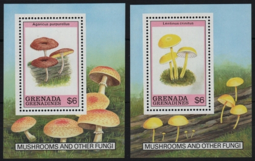 Grenada-Grenadinen 1989 - Mi-Nr. Block 174-175 ** - MNH - Pilze / Mushrooms