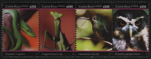Costa Rica 2007 - Mi-Nr. 1676-1679 ** - MNH - Fauna