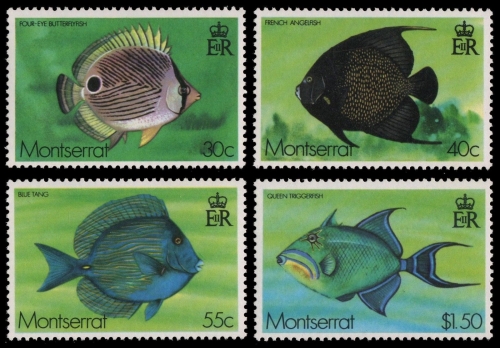 Montserrat 1978 - Mi-Nr. 381-384 ** - MNH - Fische / Fish