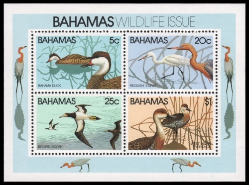 Bahamas 1981 - Mi-Nr. Block 34 ** - MNH - Vögel / Birds