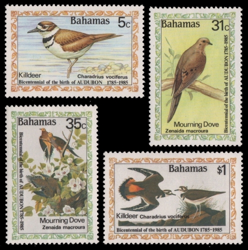 Bahamas 1985 - Mi-Nr. 590-593 ** - MNH - Vögel / Birds - Audubon