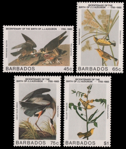 Barbados 1985 - Mi-Nr. 638-641 ** - MNH - Vögel / Birds - Audubon