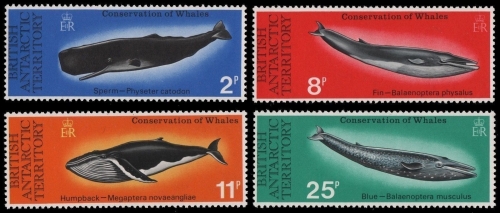 BAT / Brit. Antarktis 1977 - Mi-Nr. 64-67 ** - MNH - Wale / Whales