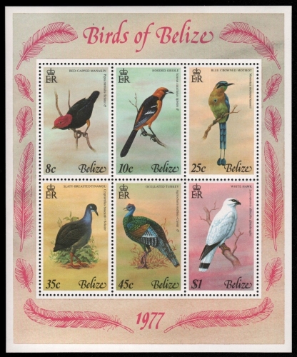 Belize 1977 - Mi-Nr. Block 2 ** - MNH - Vögel / Birds