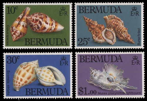 Bermuda 1982 - Mi-Nr. 408-411 ** - MNH - Meeresschnecken / Marine snails