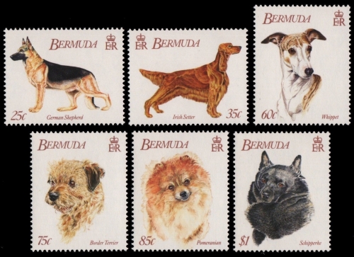 Bermuda 1992 - Mi-Nr. 621-626 ** - MNH - Hunde / Dogs