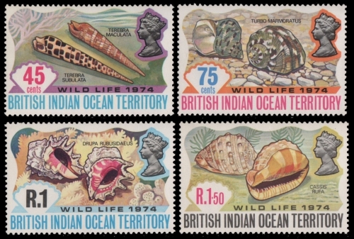 BIOT 1974 - Mi-Nr. 59-62 ** - MNH - Meeresschnecken / Marine snails